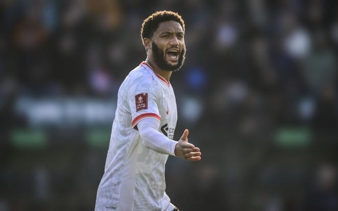 他们以相同 他们以相同