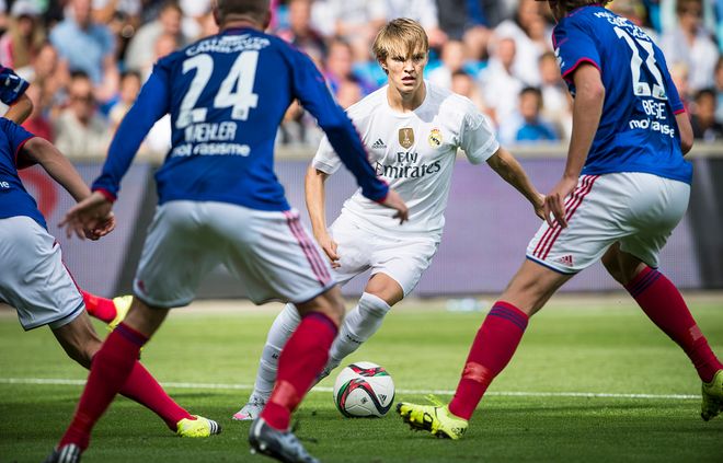 毕竟雄鹿是 毕竟雄鹿是