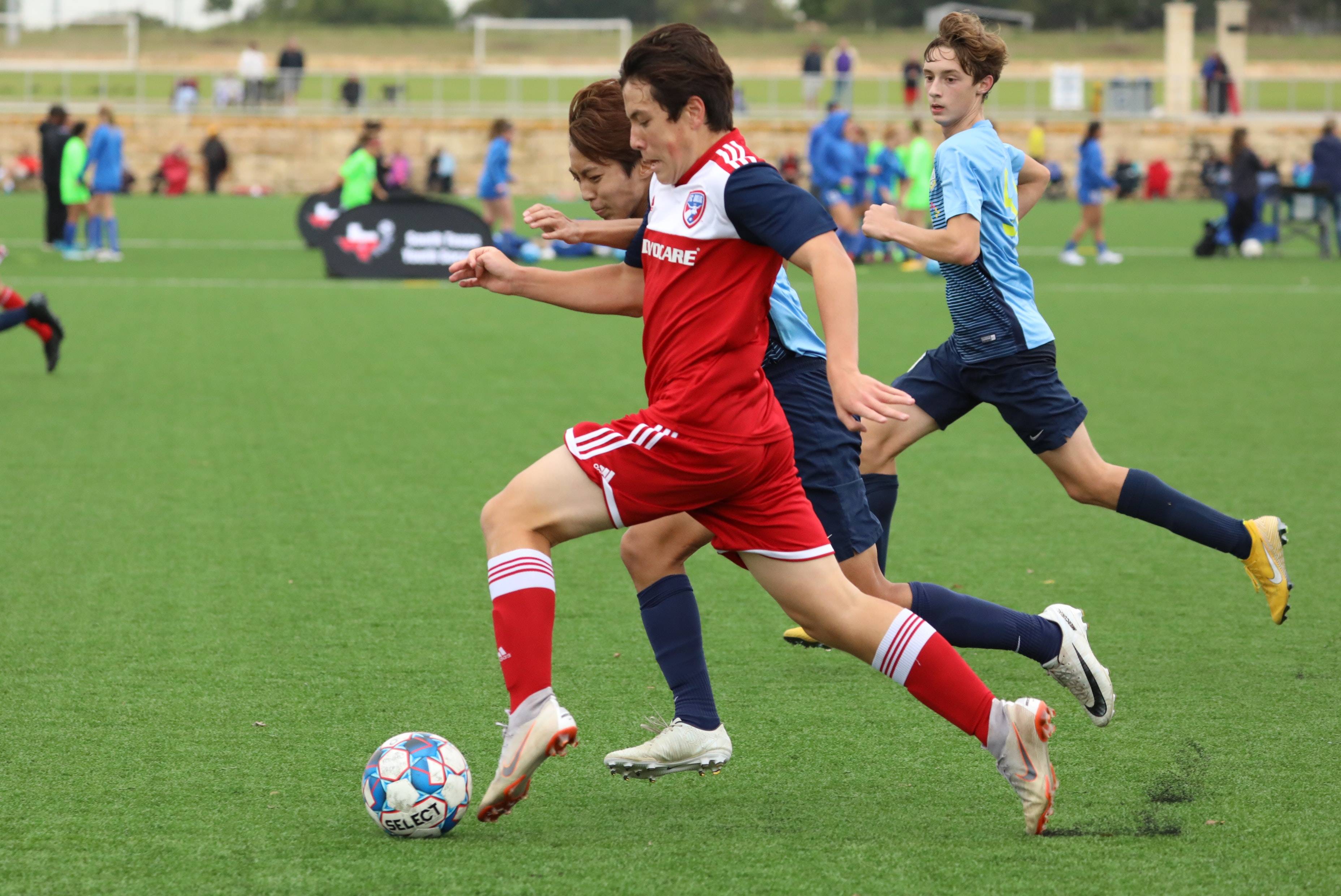 这恰恰体现 这恰恰体现